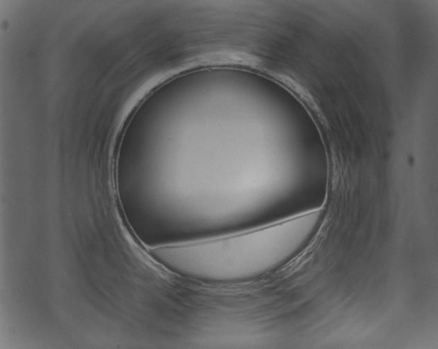 X0000074291342200608250918