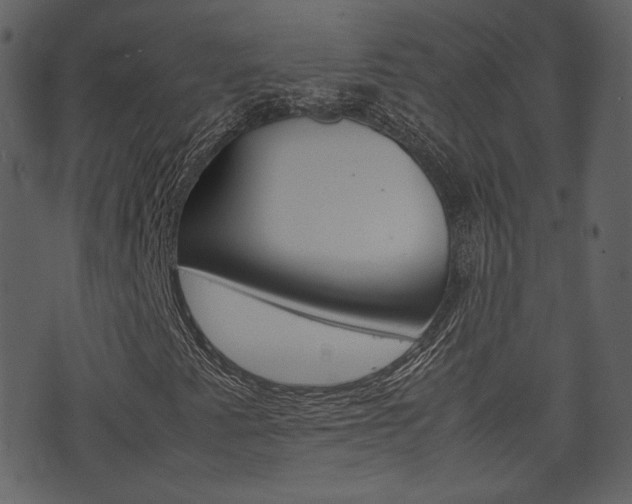 X0000074291345200608250917