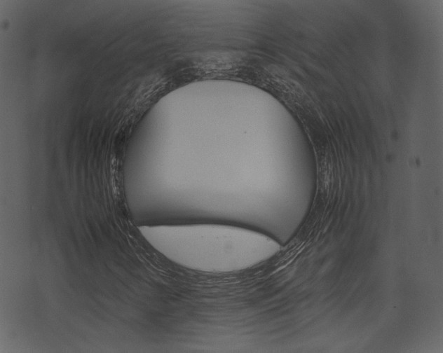 X0000074291346200608250917