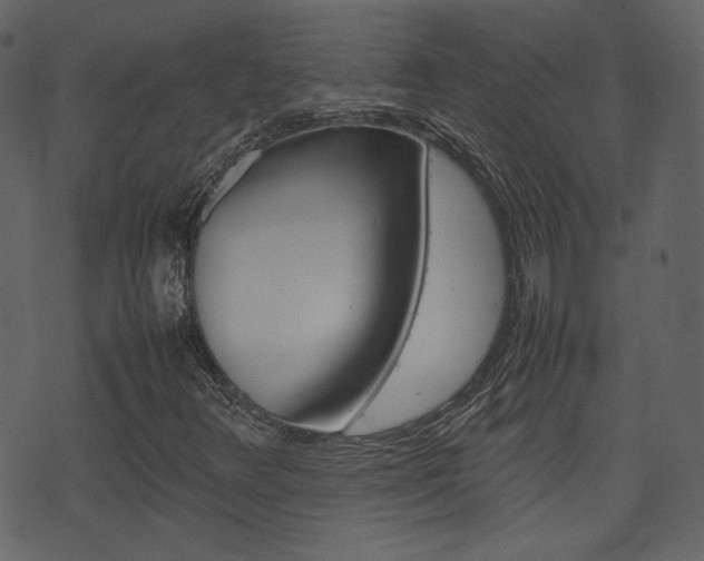 X0000074291348200608250917
