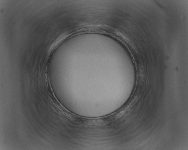 X0000074291354200608250917