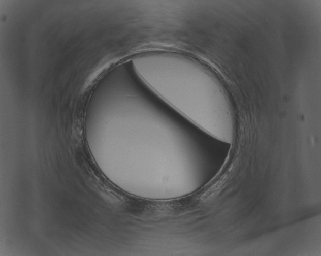 X0000074291355200608250917