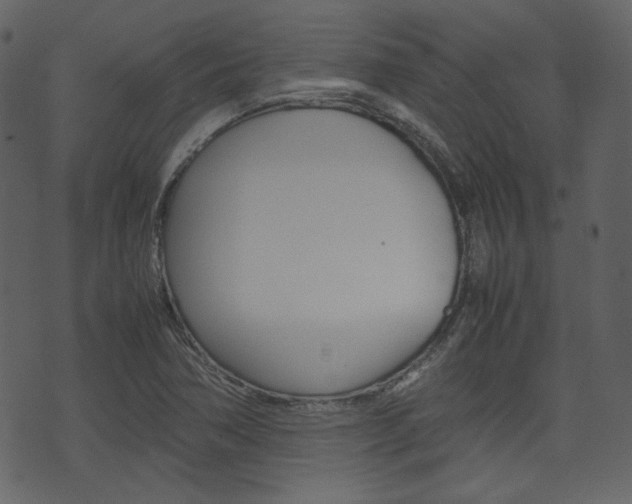 X0000074291362200608250917