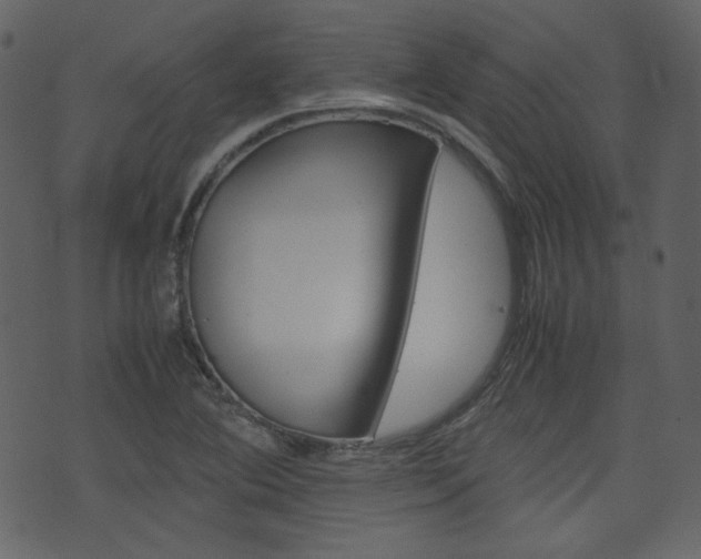 X0000074291364200608250916