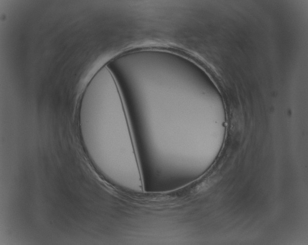 X0000074291367200608250916