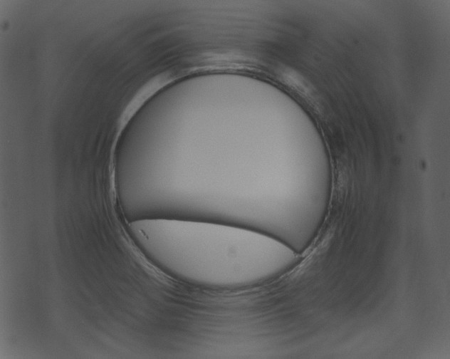 X0000074291370200608250916