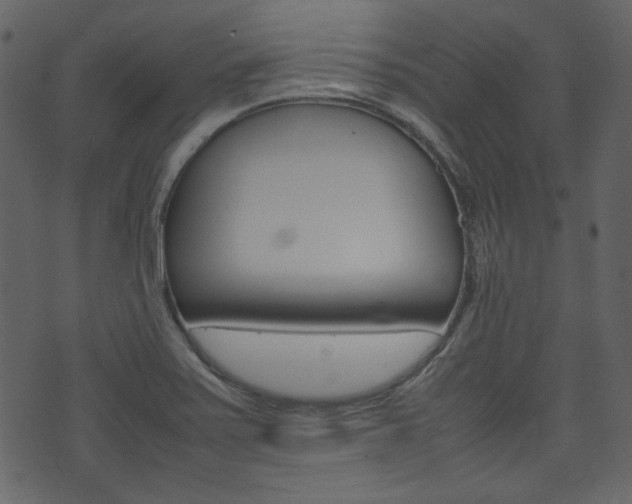 X0000074291371200608250916