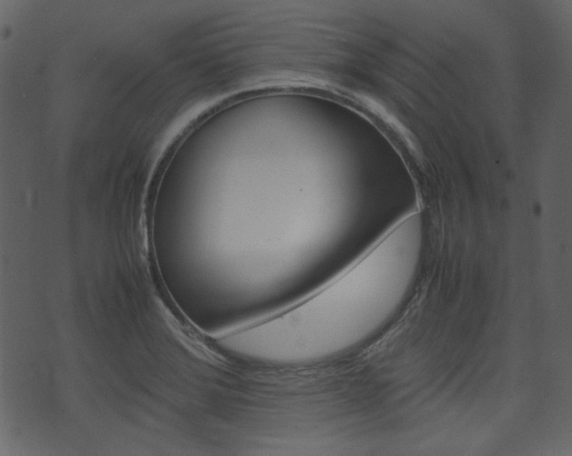 X0000074291372200608250916