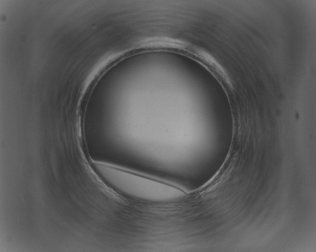 X0000074291376200608250916