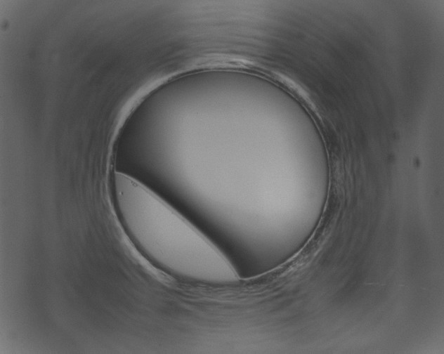 X0000074291379200608250916
