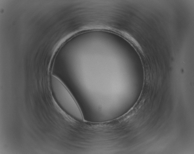 X0000074291380200608250916