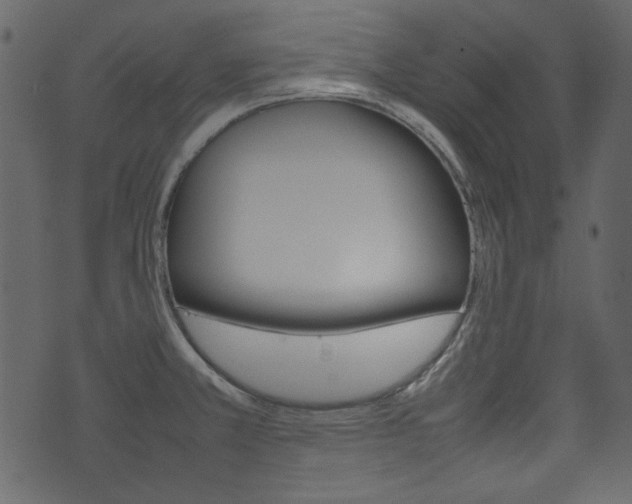 X0000074291381200608250916