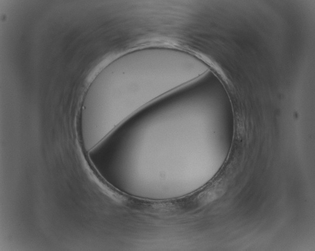 X0000074291383200608250916
