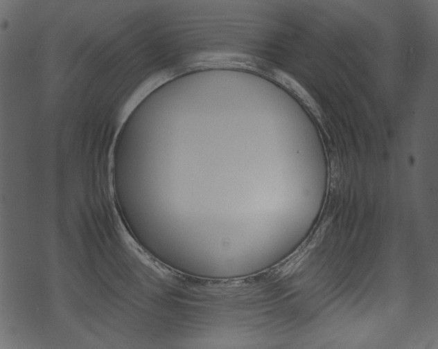 X0000074291386200608250916