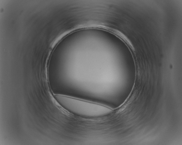 X0000074291388200608250916