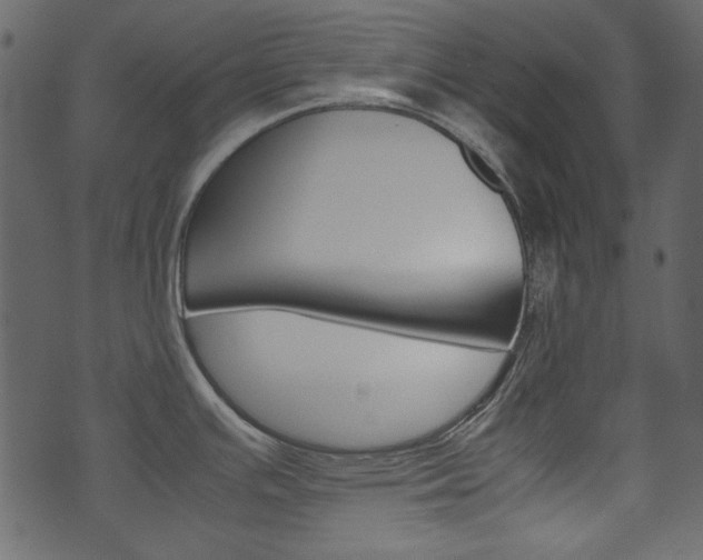 X0000074291391200608250916