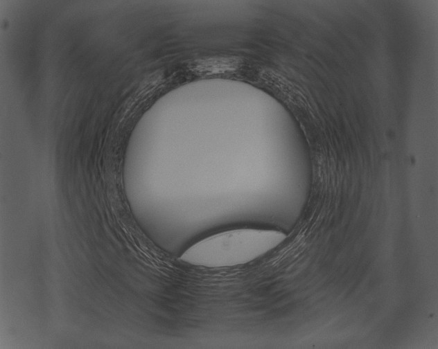 X0000074291393200608250915