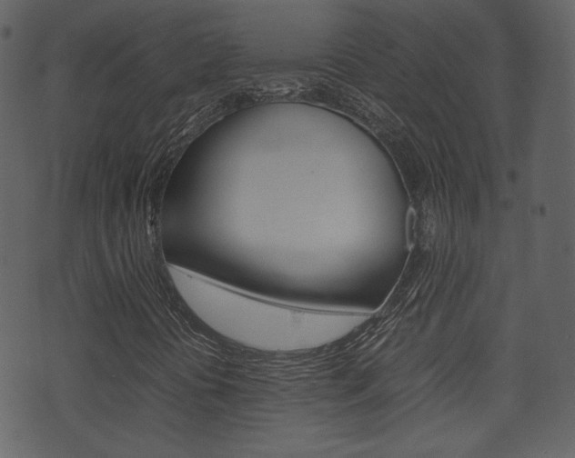 X0000074291394200608250915