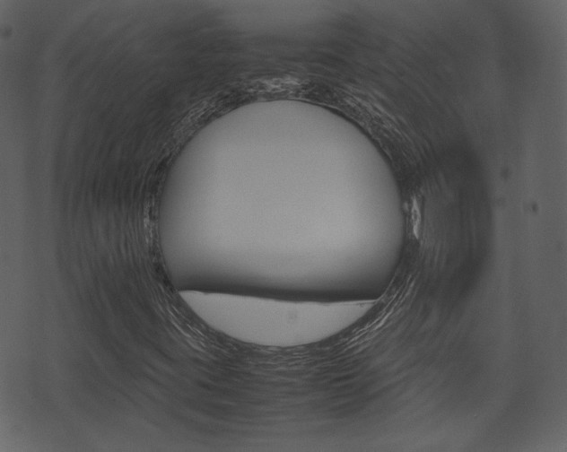 X0000074291395200608250915