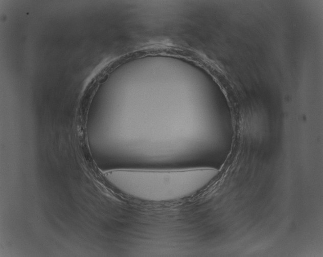 X0000074291400200608250915