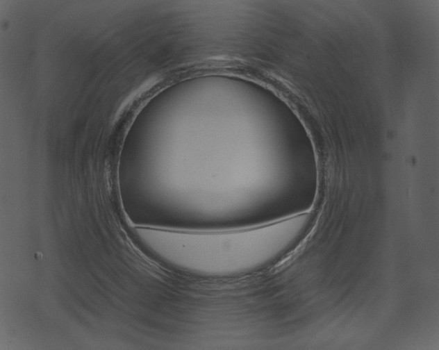 X0000074291402200608250915