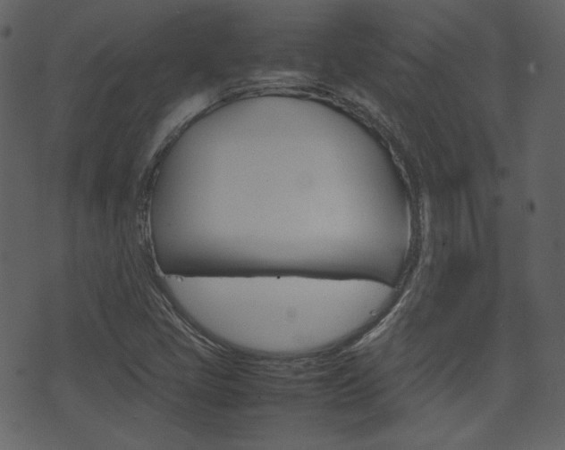 X0000074291405200608250915