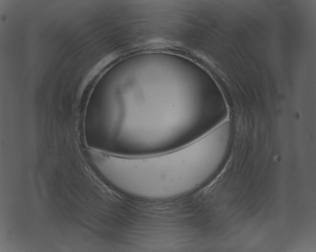 X0000074291410200608250916
