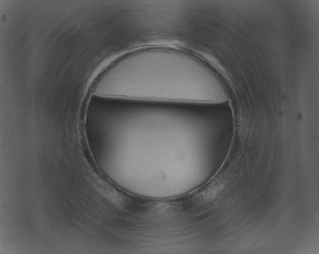 X0000074291412200608250916