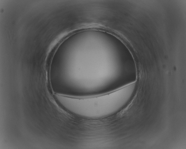 X0000074291414200608250916