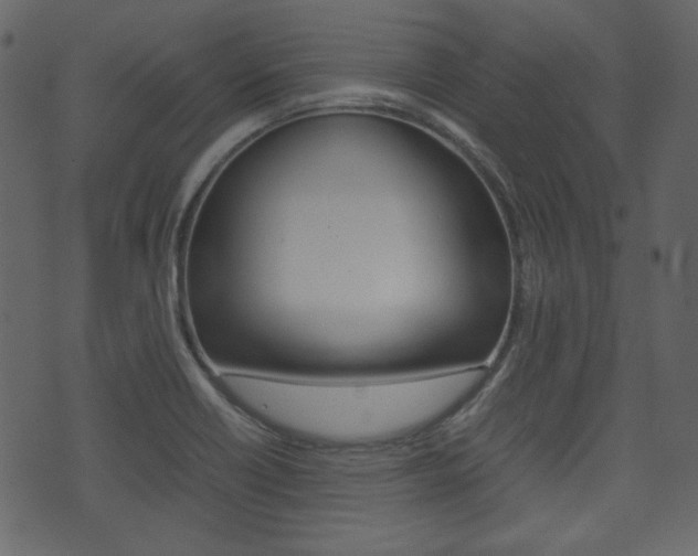 X0000074291418200608250916