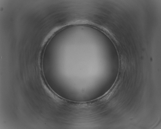 X0000074291422200608250916