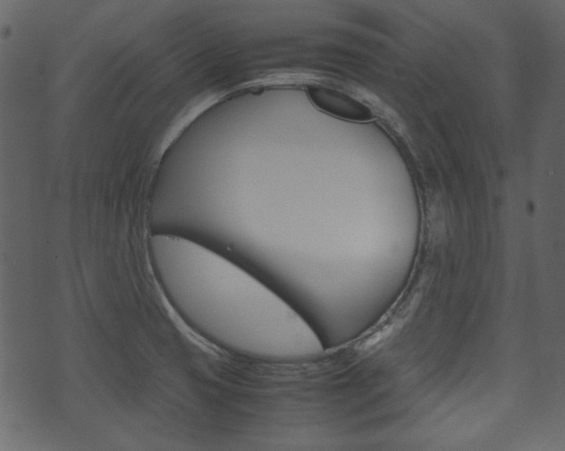 X0000074291425200608250916