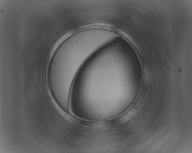 X0000074291426200608250916