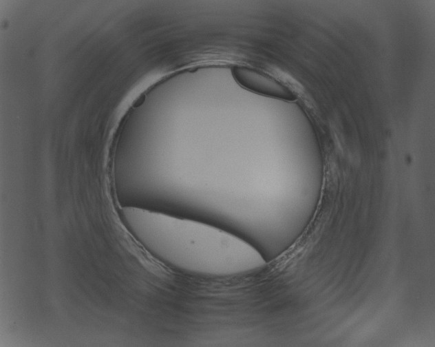 X0000074291427200608250916