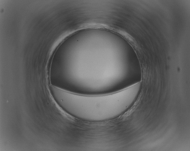 X0000074291430200608250916