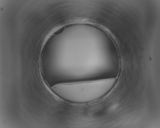X0000074291432200608250916