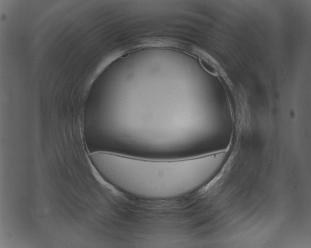 X0000074291433200608250916