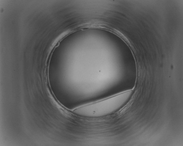 X0000074291434200608250916