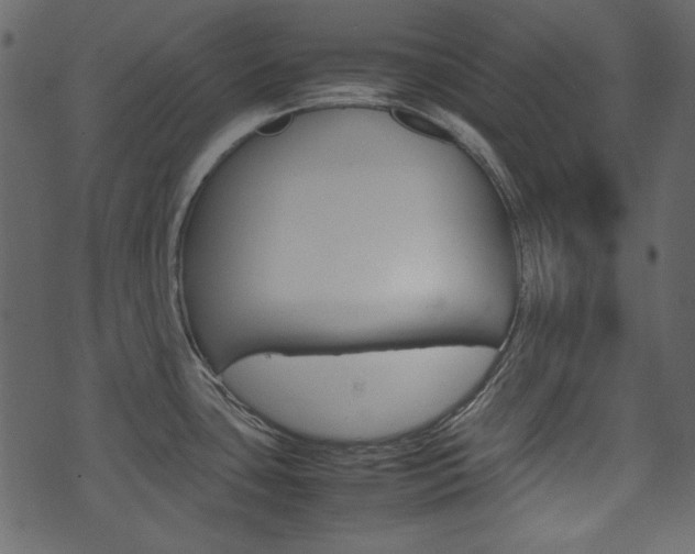 X0000074291435200608250916