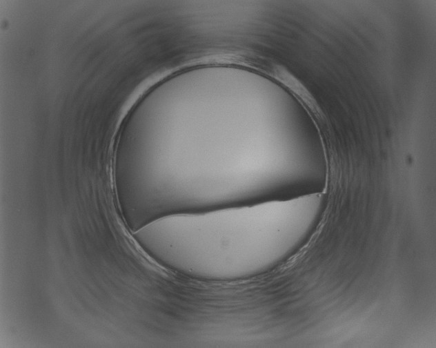 X0000074291436200608250916