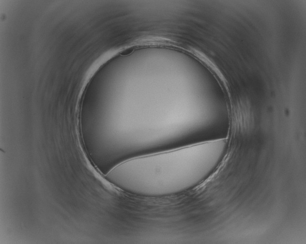 X0000074291437200608250916