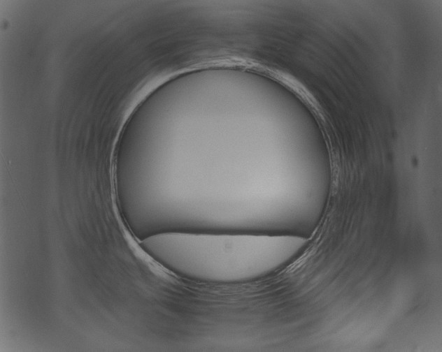 X0000074291439200608250916