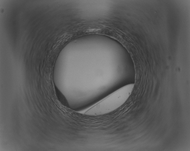 X0000074291441200608250915