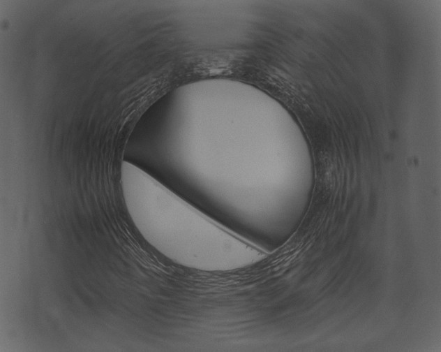 X0000074291442200608250915