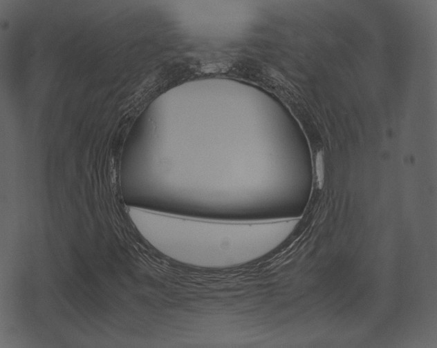 X0000074291443200608250915