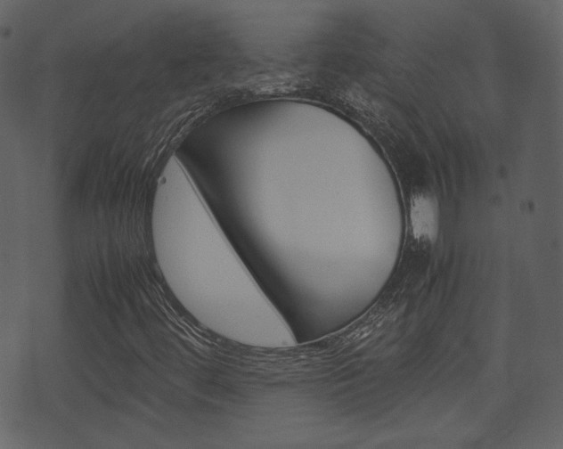 X0000074291444200608250915