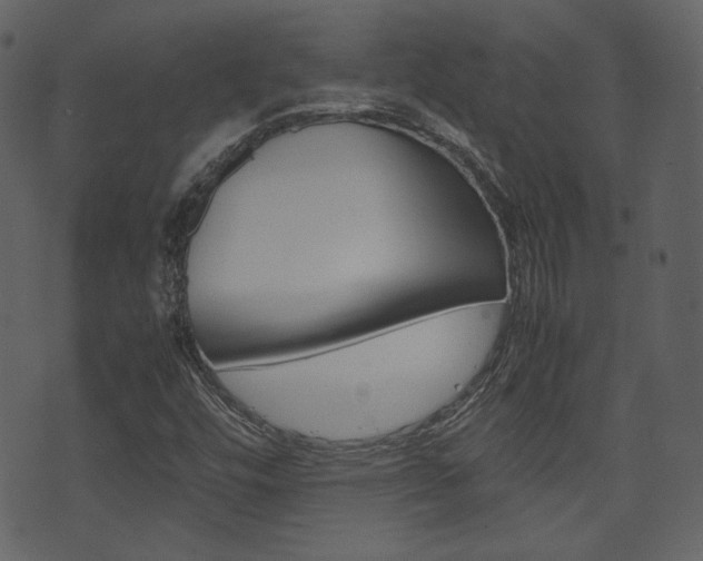 X0000074291448200608250915