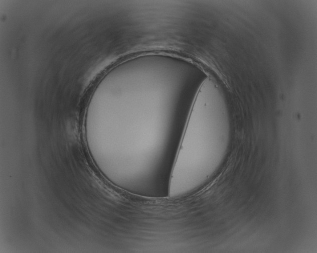 X0000074291452200608250915