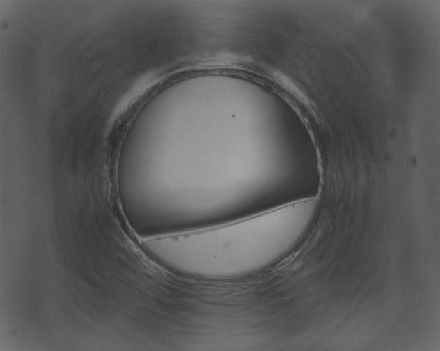 X0000074291456200608250915