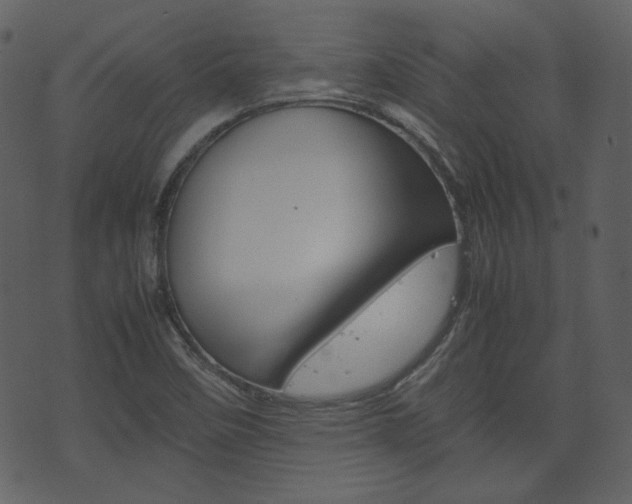 X0000074291458200608250915